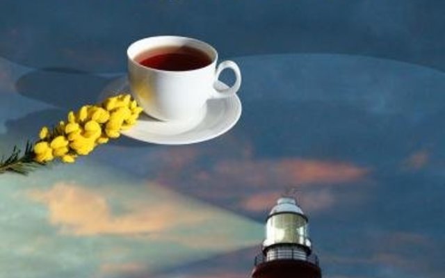 Agullhas Honeybush tea